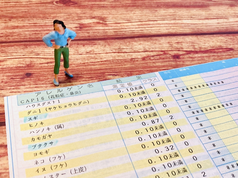 01.アレルギー検査