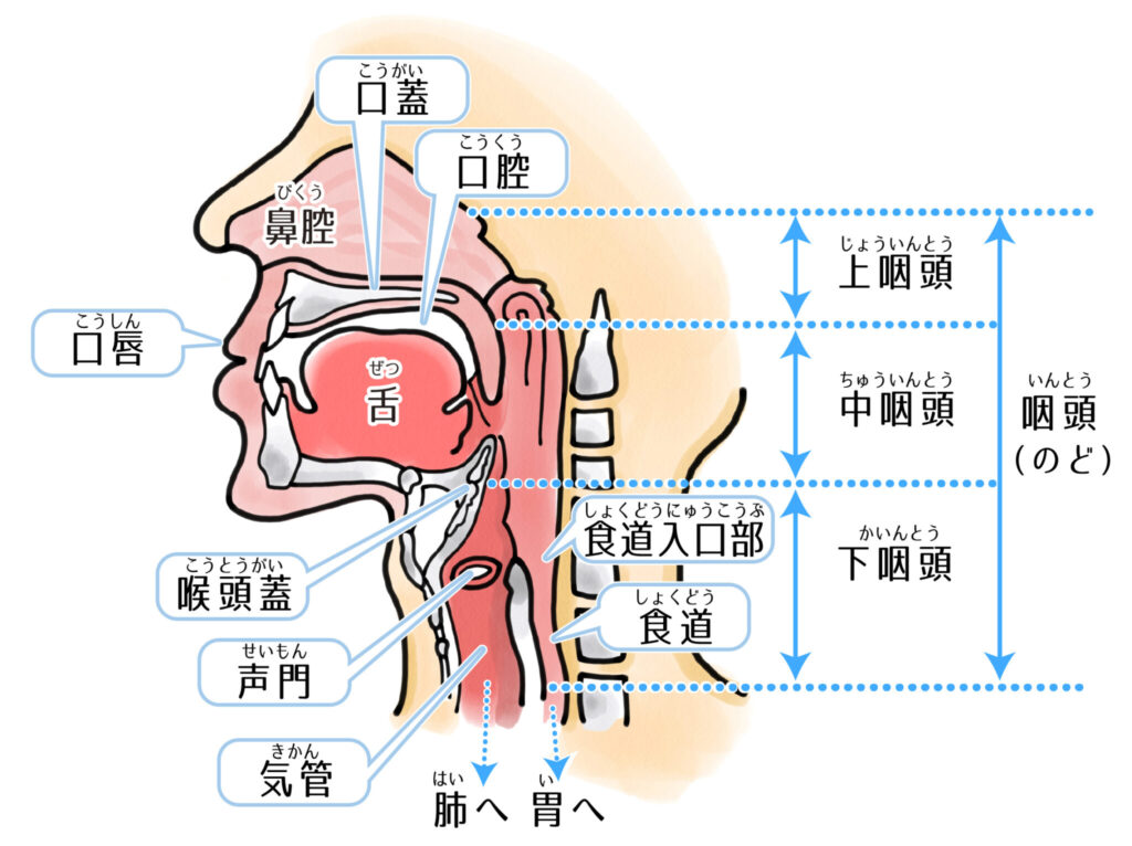 喉の疾患