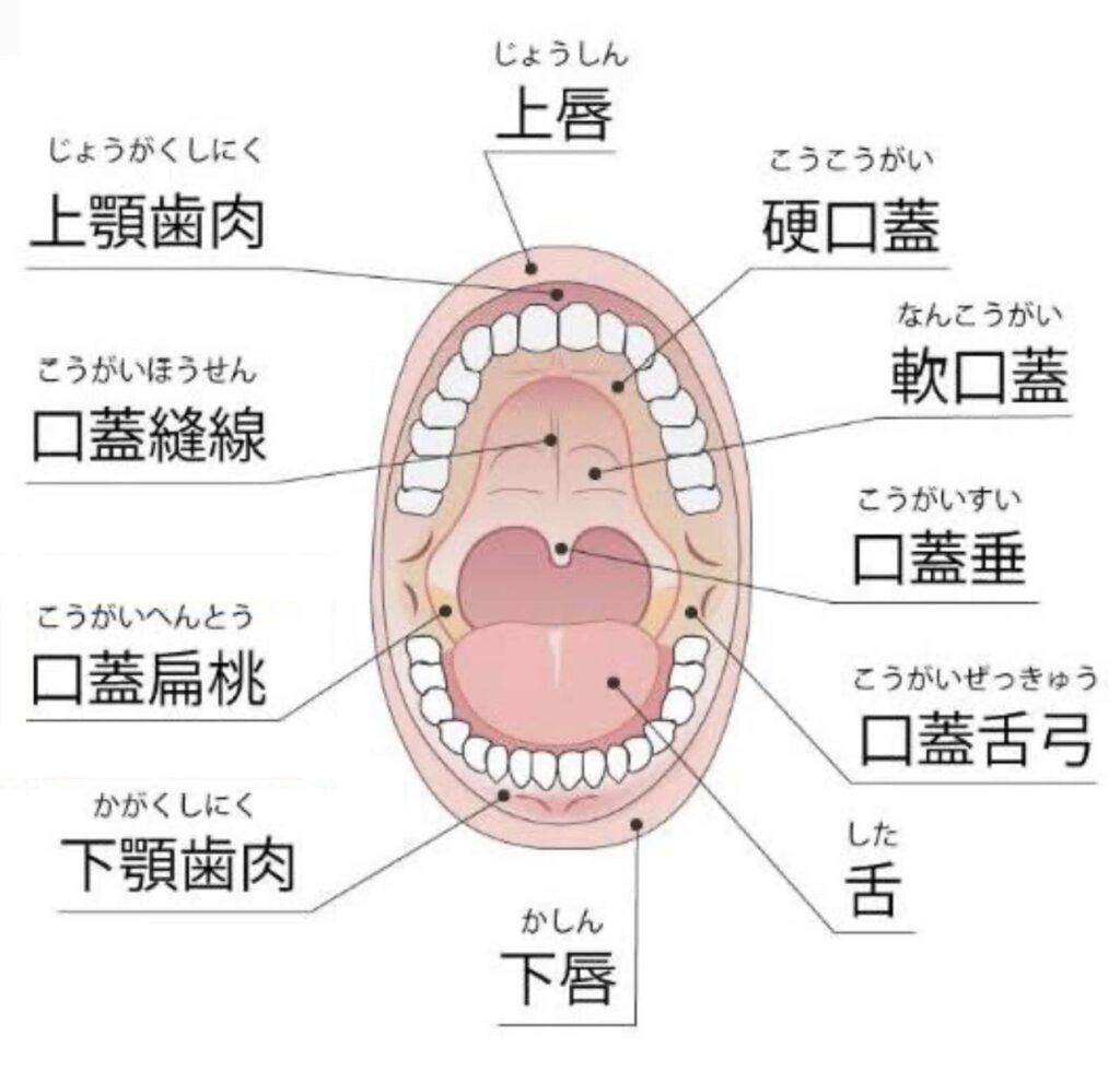 喉の疾患